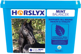 derby horslyx leckmasse mint